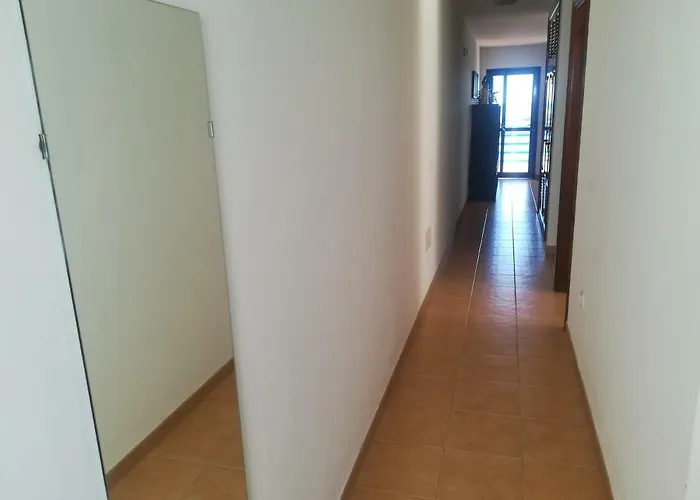 Apartment Odamar De Orzola